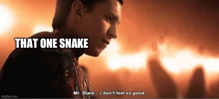 Mr. stark i don't feel so good | THAT ONE SNAKE | image tagged in mr stark i don't feel so good | made w/ Imgflip meme maker