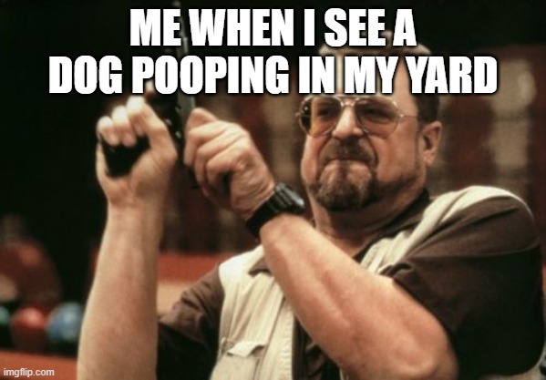 Am I The Only One Around Here | ME WHEN I SEE A DOG POOPING IN MY YARD | image tagged in memes,am i the only one around here,funny,funny memes | made w/ Imgflip meme maker