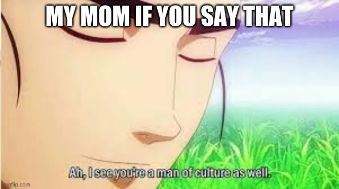 Ah,I see you are a man of culture as well | MY MOM IF YOU SAY THAT | image tagged in ah i see you are a man of culture as well | made w/ Imgflip meme maker