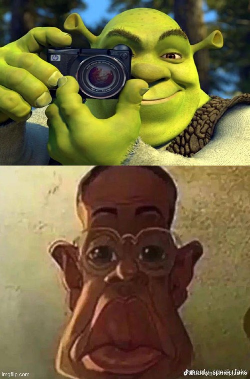 Here’s your picture | image tagged in shrek caught in 4k | made w/ Imgflip meme maker