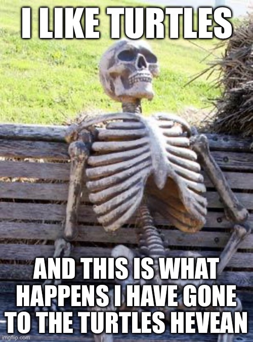 Waiting Skeleton | I LIKE TURTLES; AND THIS IS WHAT HAPPENS I HAVE GONE TO THE TURTLES HEVEAN | image tagged in memes,waiting skeleton | made w/ Imgflip meme maker