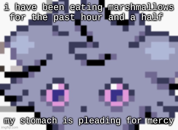 mrshmllw | i have been eating marshmallows for the past hour and a half; my stomach is pleading for mercy | image tagged in espurr dead inside | made w/ Imgflip meme maker