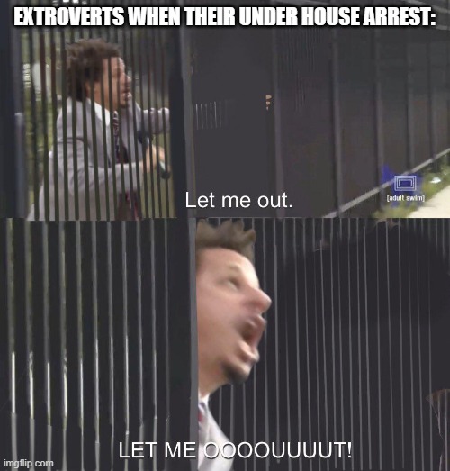 LET ME OUT | EXTROVERTS WHEN THEIR UNDER HOUSE ARREST: | image tagged in let me out | made w/ Imgflip meme maker
