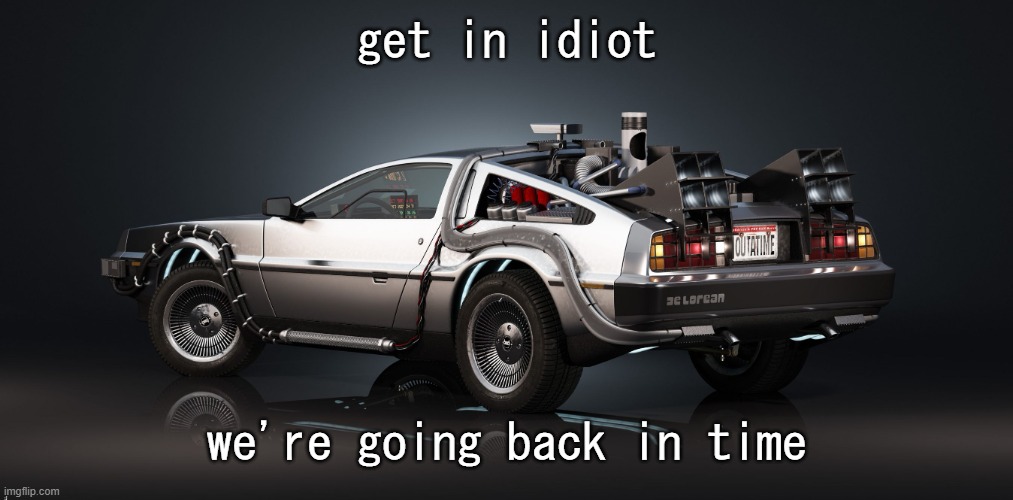 DeLorean | get in idiot we're going back in time | image tagged in delorean | made w/ Imgflip meme maker