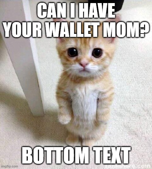 Cute Cat Meme | CAN I HAVE YOUR WALLET MOM? BOTTOM TEXT | image tagged in memes,cute cat | made w/ Imgflip meme maker