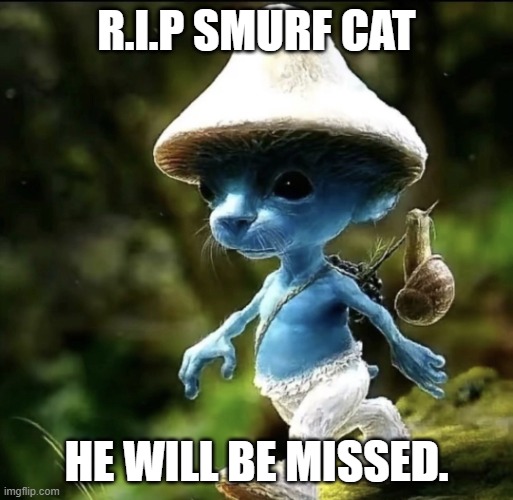 Smurf cat | R.I.P SMURF CAT; HE WILL BE MISSED. | image tagged in blue smurf cat | made w/ Imgflip meme maker