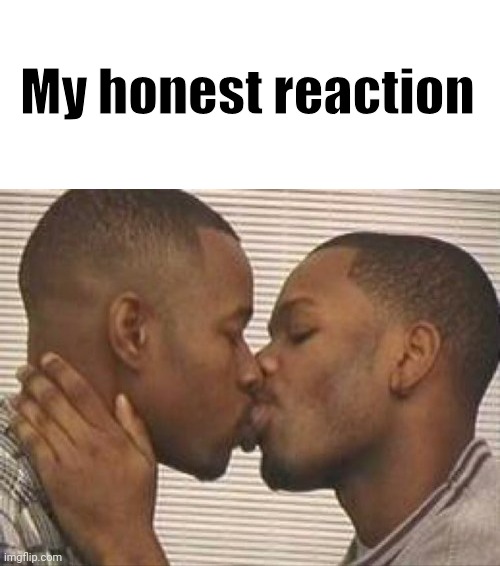 New reaction image just dropped | My honest reaction | image tagged in 2 gay black mens kissing,memes,funny,gay | made w/ Imgflip meme maker