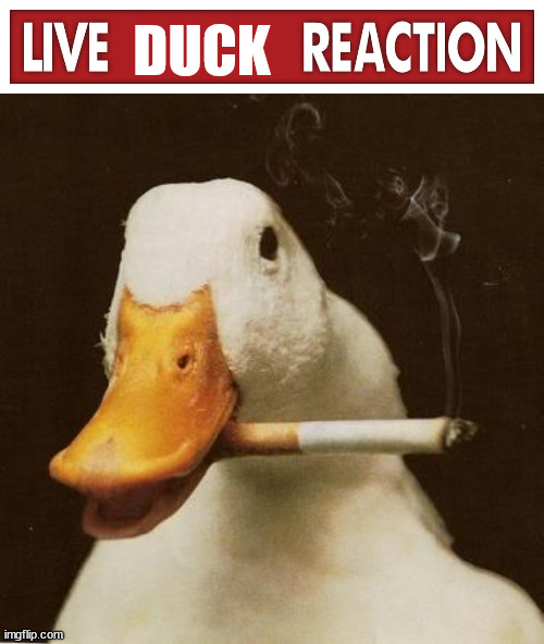 DUCK | image tagged in live x reaction,smoking duck | made w/ Imgflip meme maker