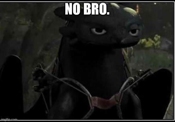 Oof | NO BRO. | image tagged in toothless is not inpressed | made w/ Imgflip meme maker