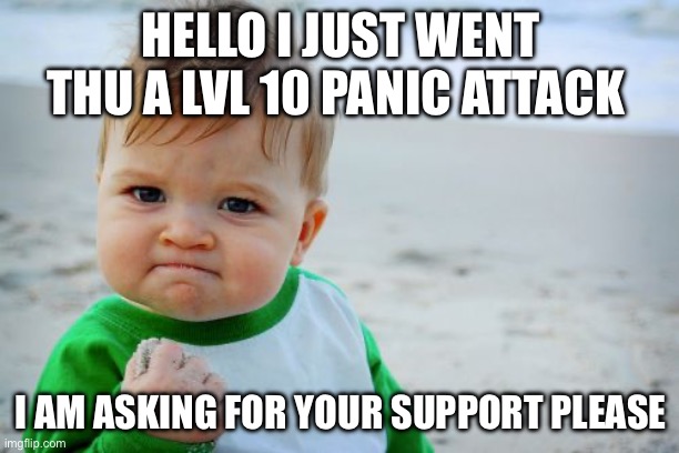 Mhm | HELLO I JUST WENT THU A LVL 10 PANIC ATTACK; I AM ASKING FOR YOUR SUPPORT PLEASE | image tagged in memes,success kid original | made w/ Imgflip meme maker