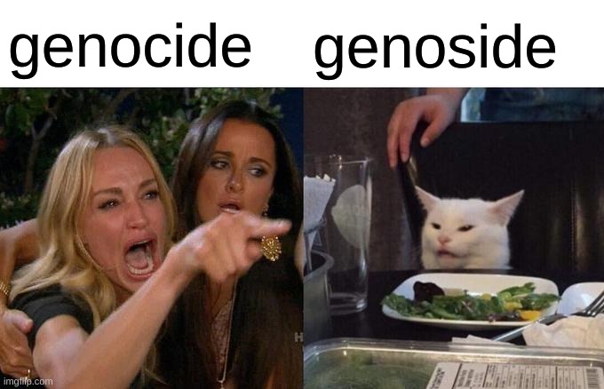 Woman Yelling At Cat Meme | genocide genoside | image tagged in memes,woman yelling at cat | made w/ Imgflip meme maker