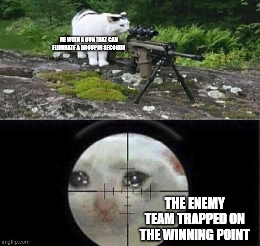 true story | ME WITH A GUN THAT CAN ELIMINATE A GROUP IN SECONDS; THE ENEMY TEAM TRAPPED ON THE WINNING POINT | image tagged in sniper cat | made w/ Imgflip meme maker