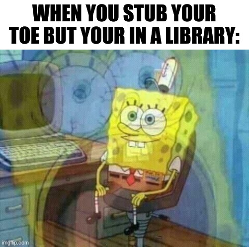 Inside voices in libraries | WHEN YOU STUB YOUR TOE BUT YOUR IN A LIBRARY: | image tagged in spongebob panic inside | made w/ Imgflip meme maker