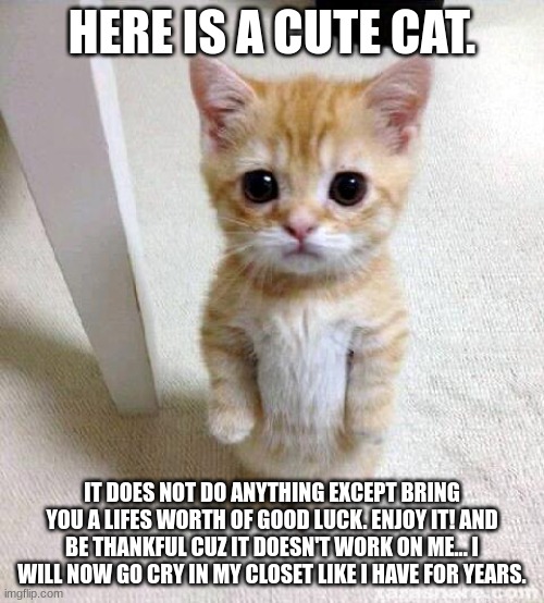Cute Cat | HERE IS A CUTE CAT. IT DOES NOT DO ANYTHING EXCEPT BRING YOU A LIFES WORTH OF GOOD LUCK. ENJOY IT! AND BE THANKFUL CUZ IT DOESN'T WORK ON ME... I WILL NOW GO CRY IN MY CLOSET LIKE I HAVE FOR YEARS. | image tagged in memes,cute cat | made w/ Imgflip meme maker
