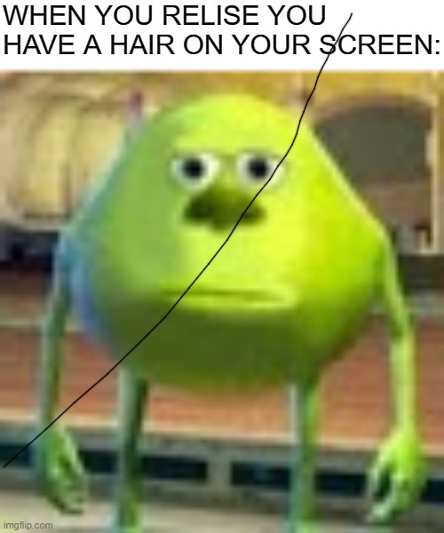 sully wasouski | WHEN YOU RELISE YOU HAVE A HAIR ON YOUR SCREEN: | image tagged in sully wazowski | made w/ Imgflip meme maker