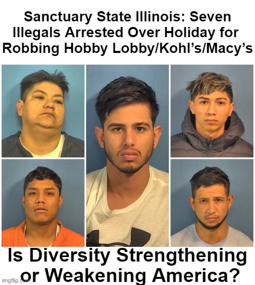 We Have Enough Home-Grown Americans Looting Stores Without Facilitating More To Join In | Sanctuary State Illinois: Seven
Illegals Arrested Over Holiday for 
Robbing Hobby Lobby/Kohl’s/Macy’s; Is Diversity Strengthening 
or Weakening America? | image tagged in politics,democratic party,democratic socialism,open borders,sanctuary cities,partners in crime | made w/ Imgflip meme maker