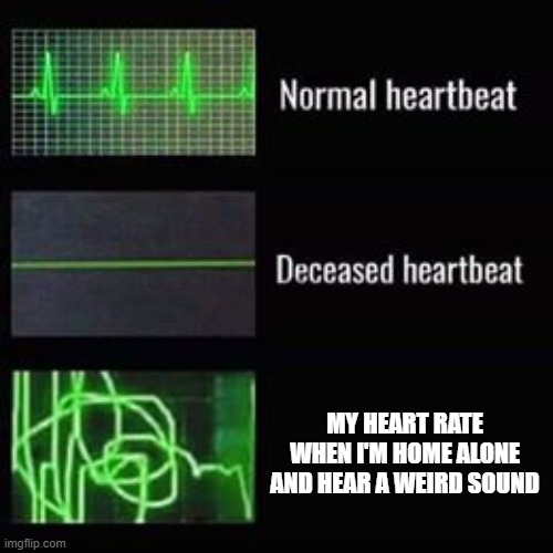 heartbeat rate | MY HEART RATE WHEN I'M HOME ALONE AND HEAR A WEIRD SOUND | image tagged in heartbeat rate | made w/ Imgflip meme maker