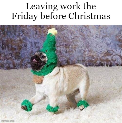 Christmas | Leaving work the Friday before Christmas | image tagged in memes,funny dog memes,christmas,funny dogs | made w/ Imgflip meme maker