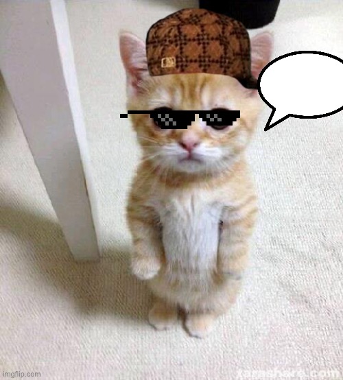 Cute Cat Meme | image tagged in memes,cute cat | made w/ Imgflip meme maker