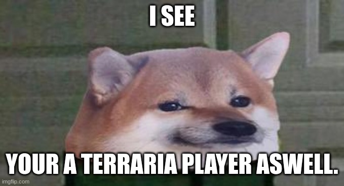 NAFO Fella | I SEE YOUR A TERRARIA PLAYER ASWELL. | image tagged in nafo fella | made w/ Imgflip meme maker