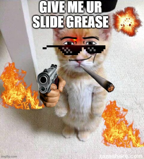 mlg cat | GIVE ME UR SLIDE GREASE | image tagged in memes,cute cat,mlg | made w/ Imgflip meme maker