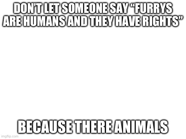 True | DON’T LET SOMEONE SAY “FURRYS ARE HUMANS AND THEY HAVE RIGHTS”; BECAUSE THERE ANIMALS | image tagged in oh wow are you actually reading these tags | made w/ Imgflip meme maker