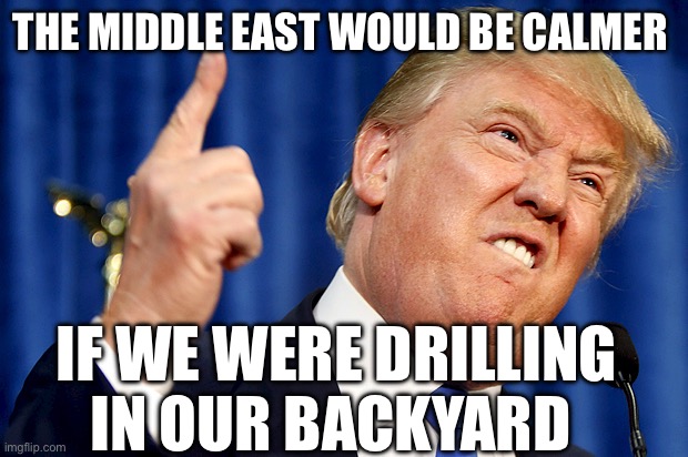 Oily Politics | THE MIDDLE EAST WOULD BE CALMER; IF WE WERE DRILLING IN OUR BACKYARD | image tagged in donald trump,oil,middle east,gas prices | made w/ Imgflip meme maker