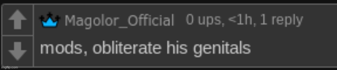 mods, obliterate his genitals | image tagged in mods obliterate his genitals | made w/ Imgflip meme maker