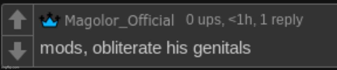 mods, obliterate his genitals | image tagged in mods obliterate his genitals | made w/ Imgflip meme maker