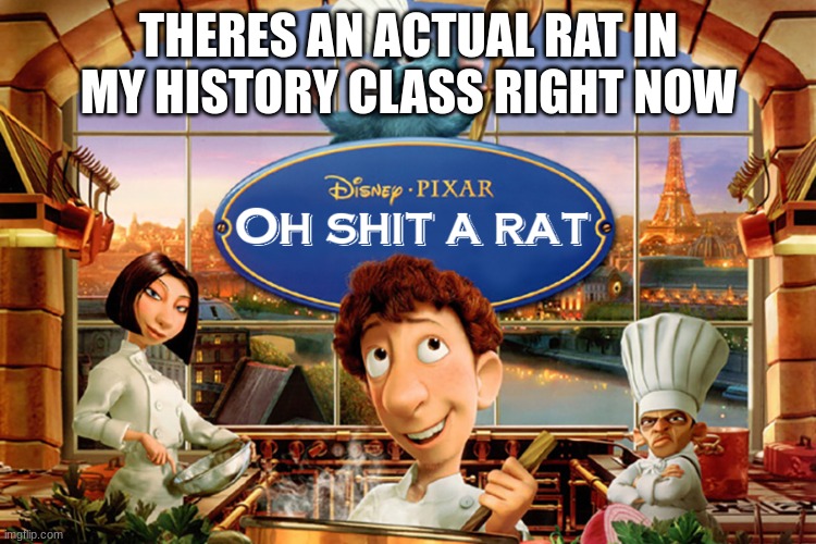 THERES AN ACTUAL RAT IN MY HISTORY CLASS RIGHT NOW | made w/ Imgflip meme maker