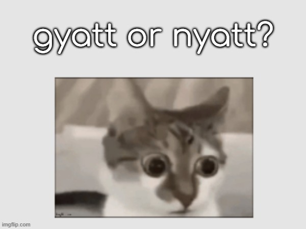 yes this is a new template go crazy with it or smth | made w/ Imgflip meme maker