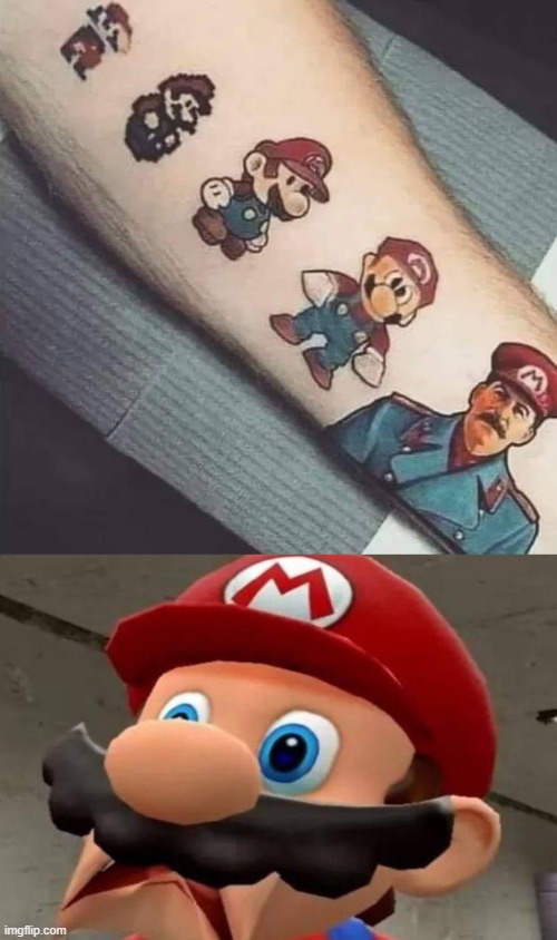 I asked an Austrian painter to do me the same tatoo but he refused (。_。) | image tagged in mario stalin tattoo,mario wtf | made w/ Imgflip meme maker