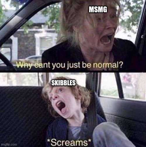 Why Can't You Just Be Normal | MSMG; SKIBBLES | image tagged in why can't you just be normal | made w/ Imgflip meme maker
