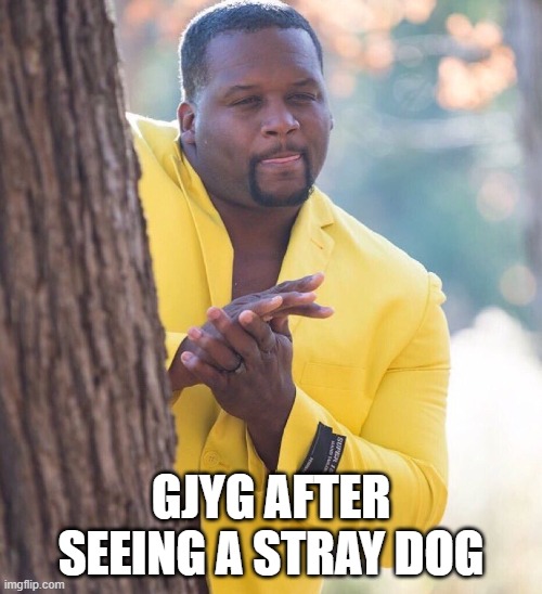 Black guy hiding behind tree | GJYG AFTER SEEING A STRAY DOG | image tagged in black guy hiding behind tree | made w/ Imgflip meme maker