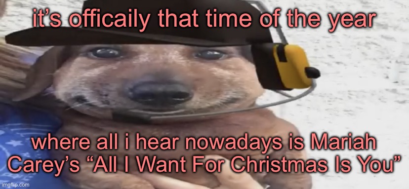 help | it’s officaily that time of the year; where all i hear nowadays is Mariah Carey’s “All I Want For Christmas Is You” | image tagged in chucklenuts | made w/ Imgflip meme maker