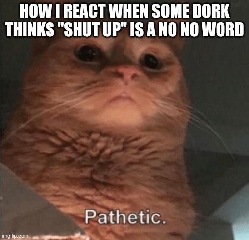 Pathetic Cat | HOW I REACT WHEN SOME DORK THINKS "SHUT UP" IS A NO NO WORD | image tagged in pathetic cat,shut up | made w/ Imgflip meme maker
