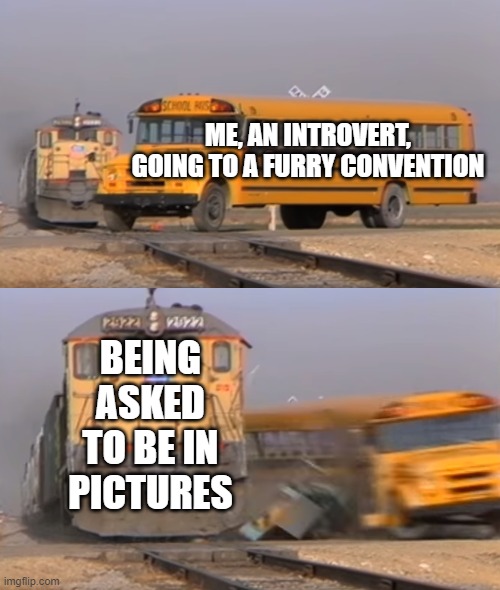 I knew I should've stayed at home | ME, AN INTROVERT, GOING TO A FURRY CONVENTION; BEING ASKED TO BE IN PICTURES | image tagged in a train hitting a school bus,furry | made w/ Imgflip meme maker