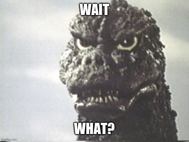 Godzilla This Is Why I Destroy Cities | WAIT WHAT? | image tagged in godzilla this is why i destroy cities | made w/ Imgflip meme maker