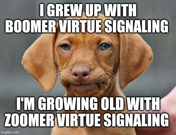 Virtue signaling | I GREW UP WITH BOOMER VIRTUE SIGNALING; I'M GROWING OLD WITH ZOOMER VIRTUE SIGNALING | image tagged in disgruntled | made w/ Imgflip meme maker