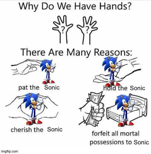 Why do we have hands? (all blank) | Sonic; Sonic; Sonic; Sonic | image tagged in why do we have hands all blank | made w/ Imgflip meme maker