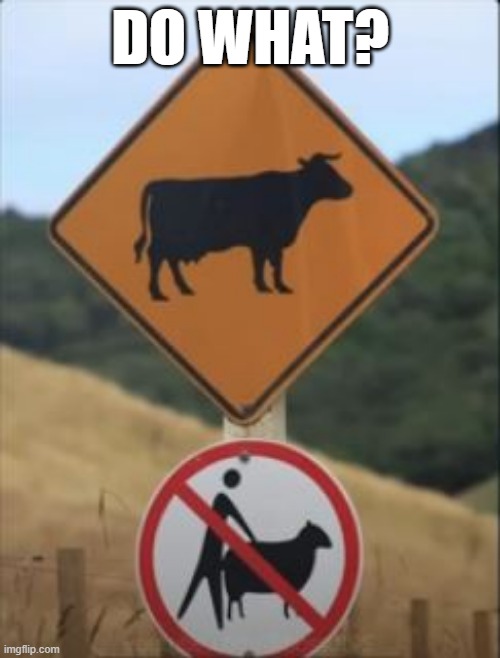 Cow Beware | DO WHAT? | image tagged in you had one job | made w/ Imgflip meme maker