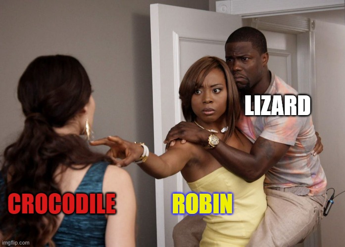 Woman holding man | LIZARD; ROBIN; CROCODILE | image tagged in woman holding man | made w/ Imgflip meme maker