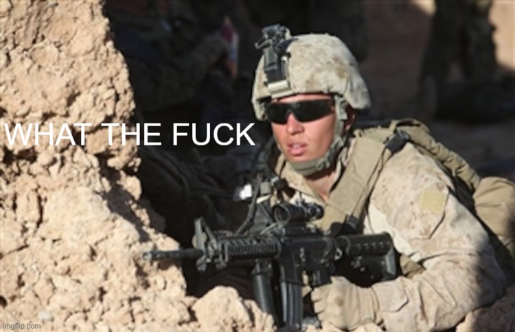 Confused Marine | image tagged in confused marine | made w/ Imgflip meme maker