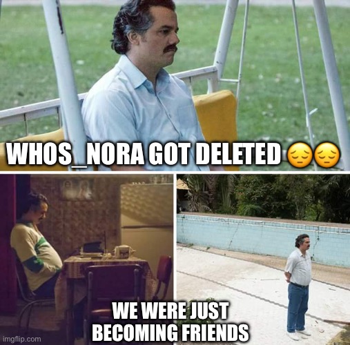 Sad Pablo Escobar Meme | WHOS_NORA GOT DELETED 😔😔; WE WERE JUST BECOMING FRIENDS | image tagged in memes,sad pablo escobar | made w/ Imgflip meme maker