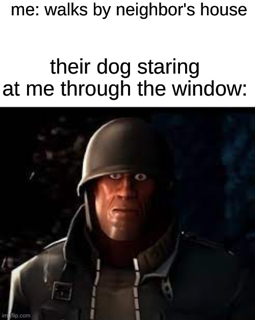 idk | me: walks by neighbor's house; their dog staring at me through the window: | image tagged in memes,dank memes | made w/ Imgflip meme maker