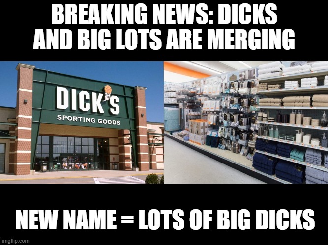 New Store | BREAKING NEWS: DICKS AND BIG LOTS ARE MERGING; NEW NAME = LOTS OF BIG DICKS | image tagged in dick's sporting goods store,big lots 8210 kirby dr houston tx department stores - mapque | made w/ Imgflip meme maker