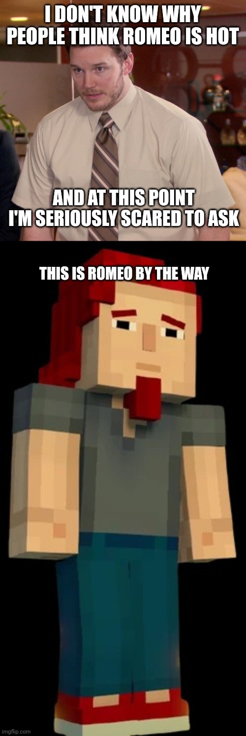 I'm genuinely concerned with this, and I wish I was joking... | I DON'T KNOW WHY PEOPLE THINK ROMEO IS HOT; AND AT THIS POINT I'M SERIOUSLY SCARED TO ASK; THIS IS ROMEO BY THE WAY | image tagged in memes,afraid to ask andy,minecraft story mode,minecraft | made w/ Imgflip meme maker