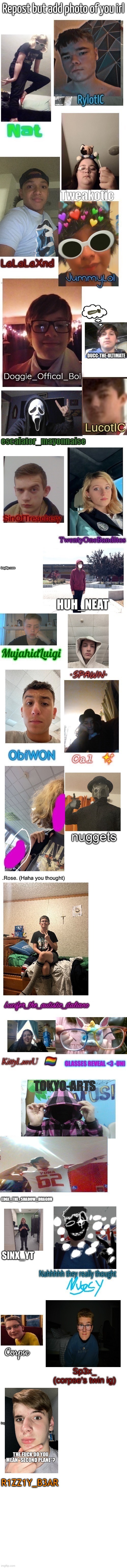 R1ZZ1Y_B3AR | made w/ Imgflip meme maker