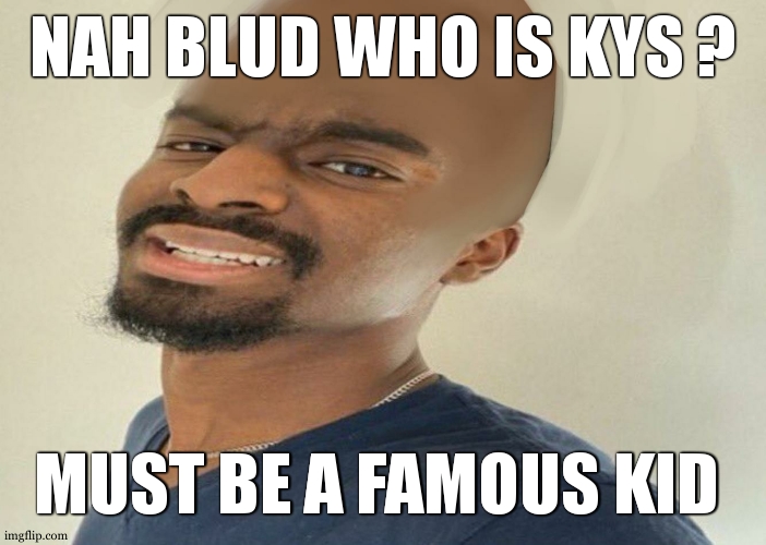 Goofy looking ass | NAH BLUD WHO IS KYS ? MUST BE A FAMOUS KID | image tagged in goofy looking ass | made w/ Imgflip meme maker