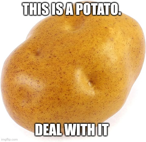 Spud | THIS IS A POTATO. DEAL WITH IT | image tagged in potato | made w/ Imgflip meme maker
